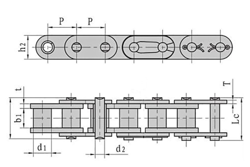 Les fabricants de chaînes d'entraînement présentent les compétences pratiques de Sprocket