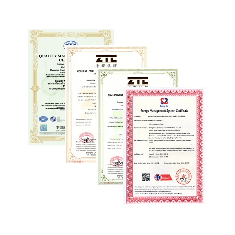 Hangzhou Qianjiang Chain Industries Co., Ltd. a passé la certification annuelle du système