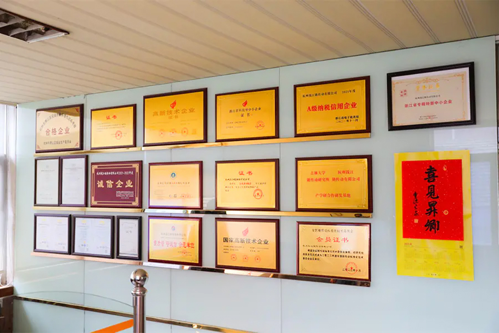 Hangzhou Qianjiang Chaîne Industries Co., Ltd.